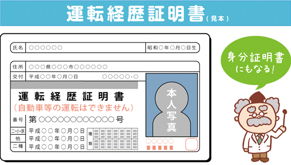 運転経歴証明書の活用を拡大することが必要では