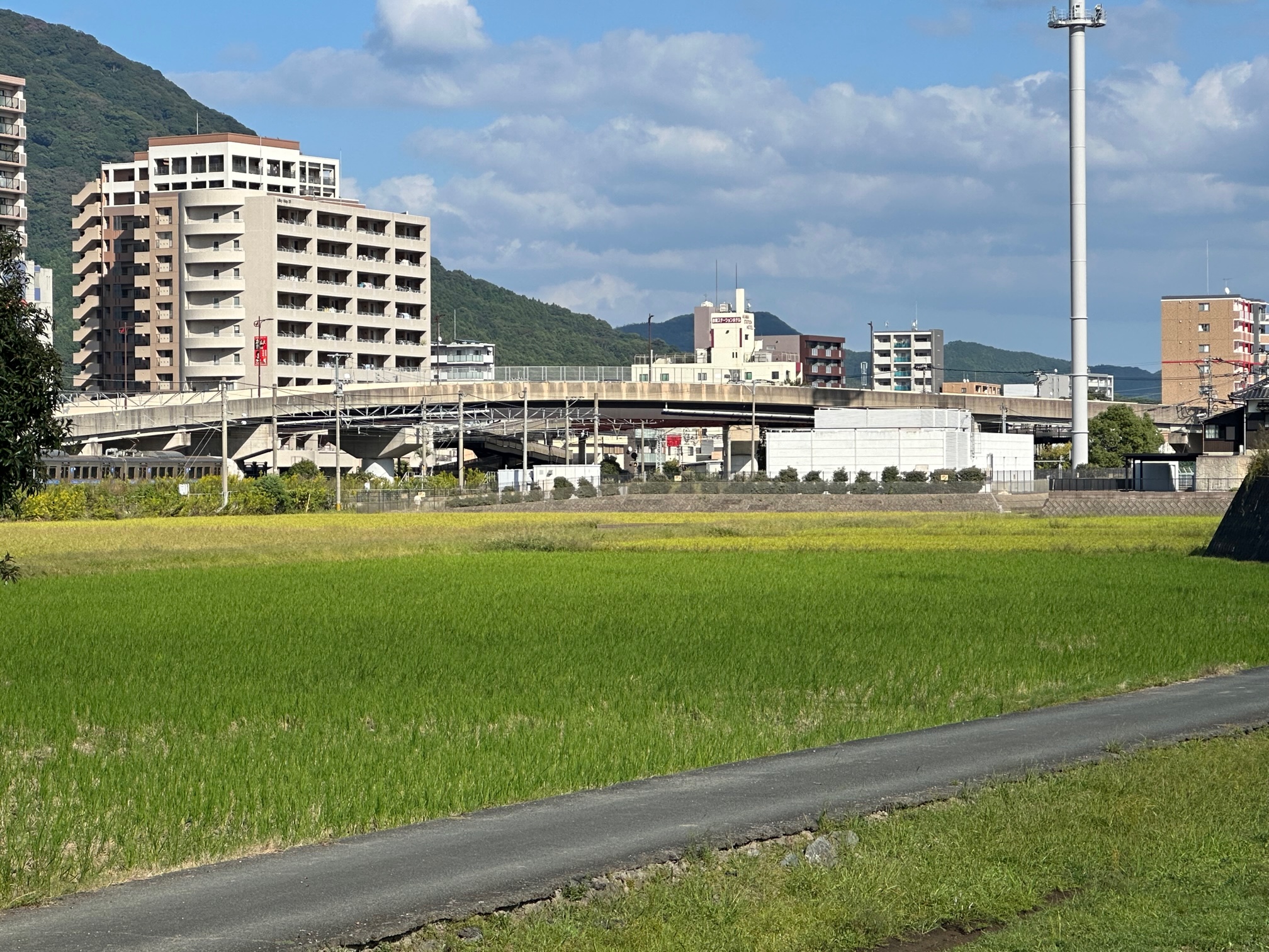 渋滞緩和を求めて県職員への要望に同席